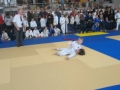 judo 030.jpg